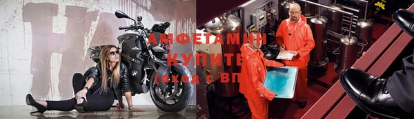 ГАЛЛЮЦИНОГЕННЫЕ ГРИБЫ Алзамай