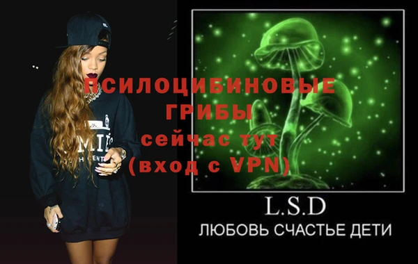 ГАЛЛЮЦИНОГЕННЫЕ ГРИБЫ Алзамай