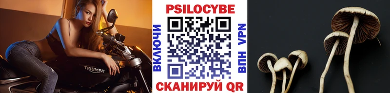 Псилоцибиновые грибы Magic Shrooms Алушта